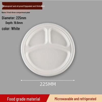Biodegradable 3-Compartment Sugarcane Pulp Plates