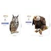 Outdoor Garden Ringing Owl Shape to Deter Birds Hanging Pendant Bird Scarer Gadget with Reflective Strap for Outdoor