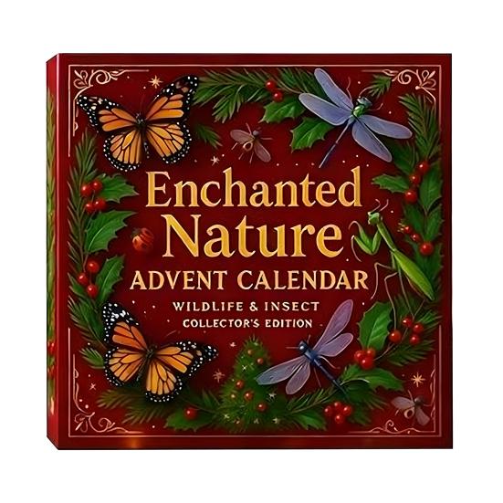 Nature’s Trick Advent Calendar Christmas Countdown Box 24-day Advent Calendar Festive Atmosphere Decor