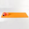 Odorless Non-Slip 6mm TPE Solid Color Yoga Mat for Fitness