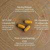 New Chapter Advanced Perfect Prenatal Multivitamin, Veggie Tablets 192 Tablets