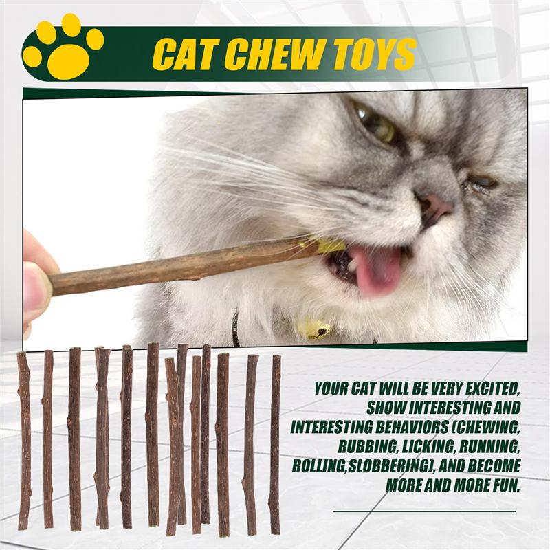 Gut-15 Stück Natürliche Silberreben-Stöcke Für Katzenminze-Stöcke Matatabi Kau-Stöcke Zähne Mahl-Kauen Für Katzenzahnreinigung