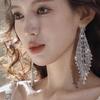 Silver Needle Rhinestone Tassel Earrings: Light Luxury, Geometric Design, Fashionable & Exquisite Studs for Women