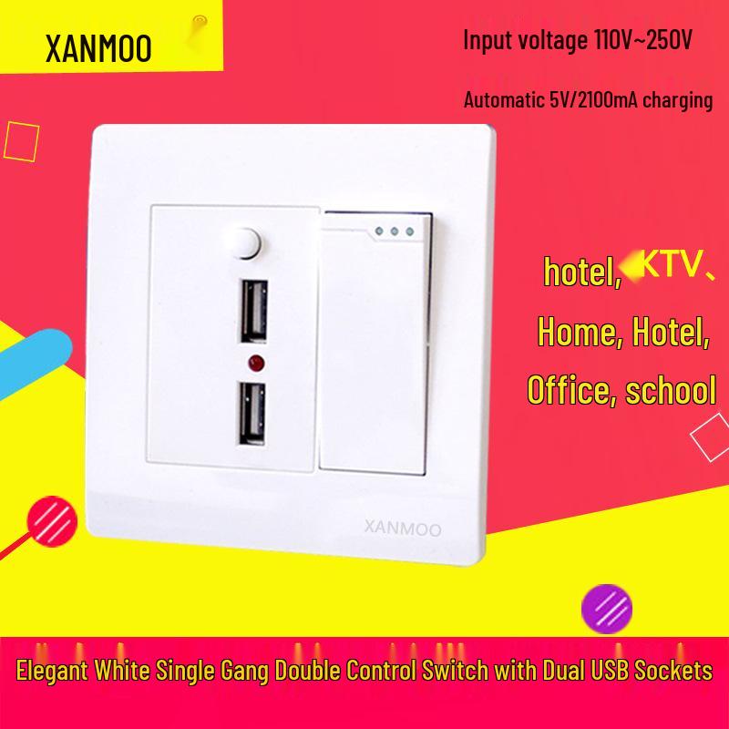 Type 86 Wall Single Pole Double Throw Switch with Dual USB Socket for Household