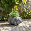 Decorațiuni pentru casă – Ghivece de flori decorative