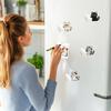 Creative Cat Refrigerator Magnet Cute Pet Hair Collector Cartoon Dog Fridge Magnet  Office Decor