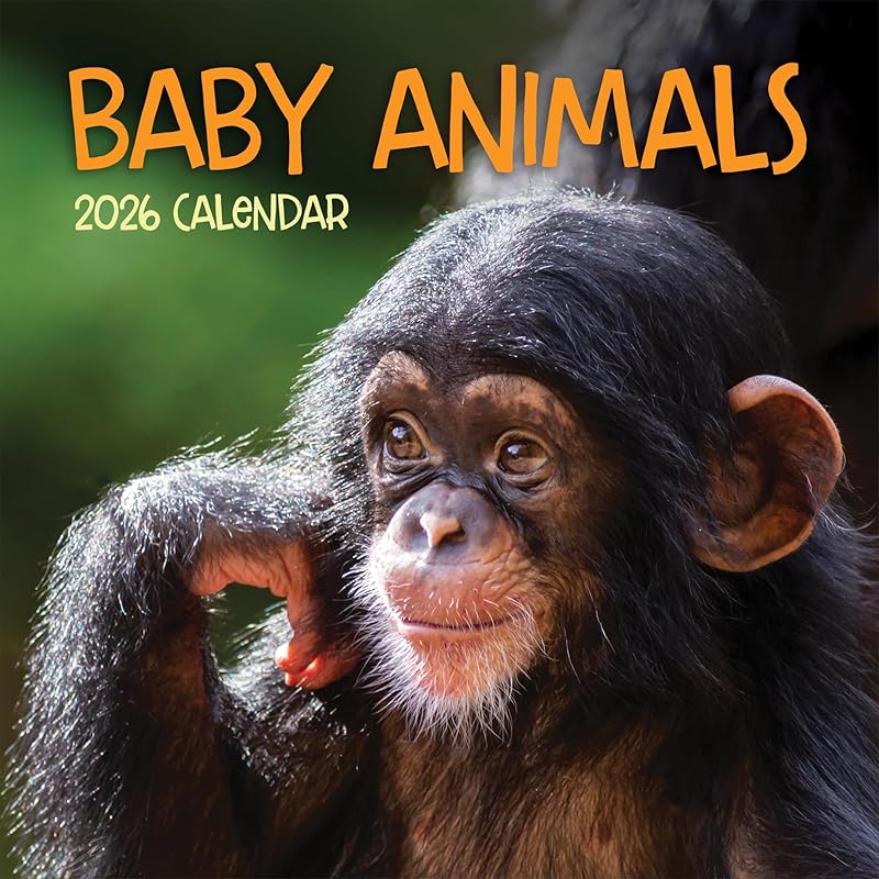 TF Publishing 2026 Backyard Birds Wall Calendar - Large Grids for Appointments and Scheduling - Vertical Monthly Wall Calendar 2026 with Premium Baby Animals