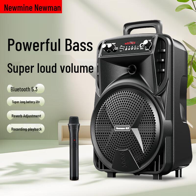 Newmine Portable Outdoor KTV Bluetooth Speaker