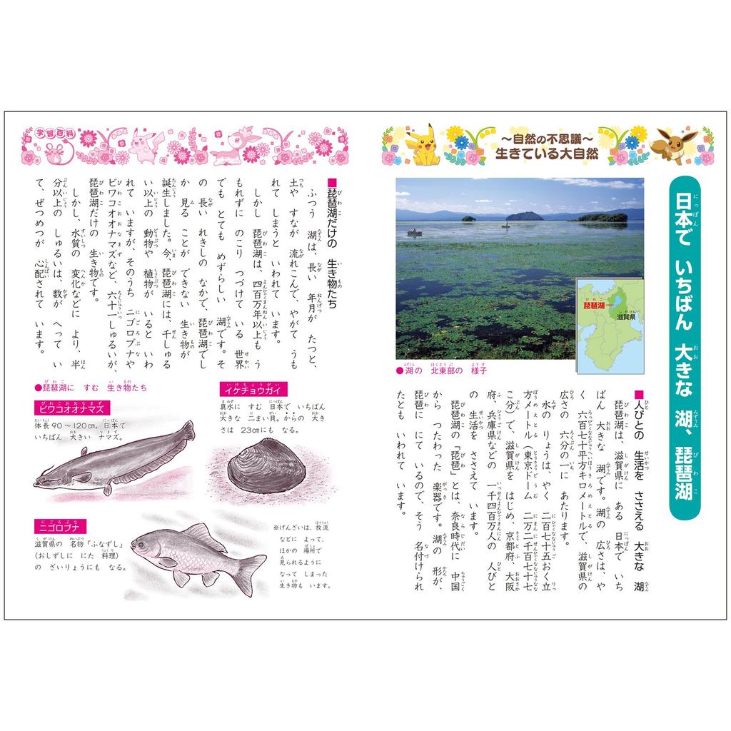 Showa Note Writing 120 Pokémon Notebook, Characters, B5, 5-Pack, PL-40