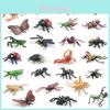 Simulated Wild Insect Butterfly Shoes Spider Dragonfly Model Ornament Set For Educational Displays And Collectors