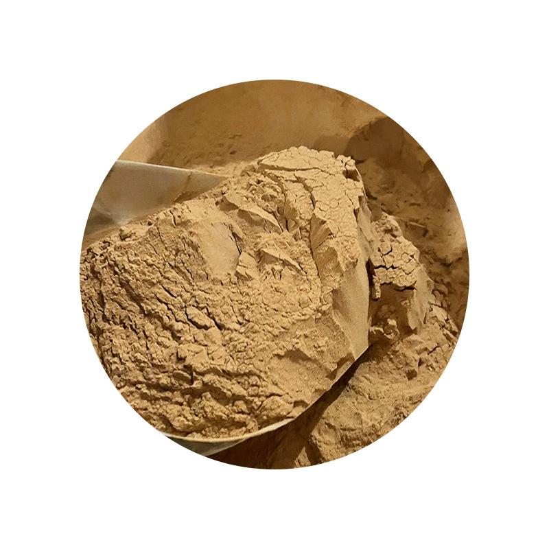 500g Chia Seed Extract 10:1 Powder