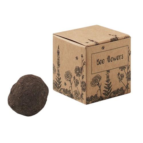 MidOcean Bombi II Seed Growing Kit