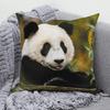 Square Pillow Cute Giant Panda Animal Pattern Cushion Cover Home Living Room Sofa Bedroom Decoration