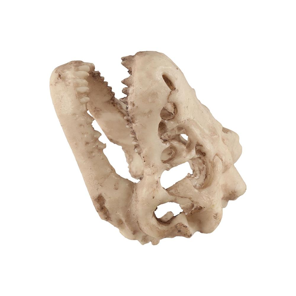 Simulation Fish House Cave Resin Escape House Dinosaur Skull Terrarium Decoration