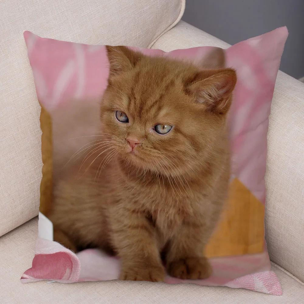 Russian Blue British Shorthair Cushion Cover Decor Cute Cat Pet Animal Pillowcase Soft Plush Pillow Case for Car Sofa Home