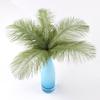 10 Pcs Colorful Ostrich Feather Wedding Table Centerpiece Decoration Plume Real Ostrich Feathers for Carnival Support 15-50 CM