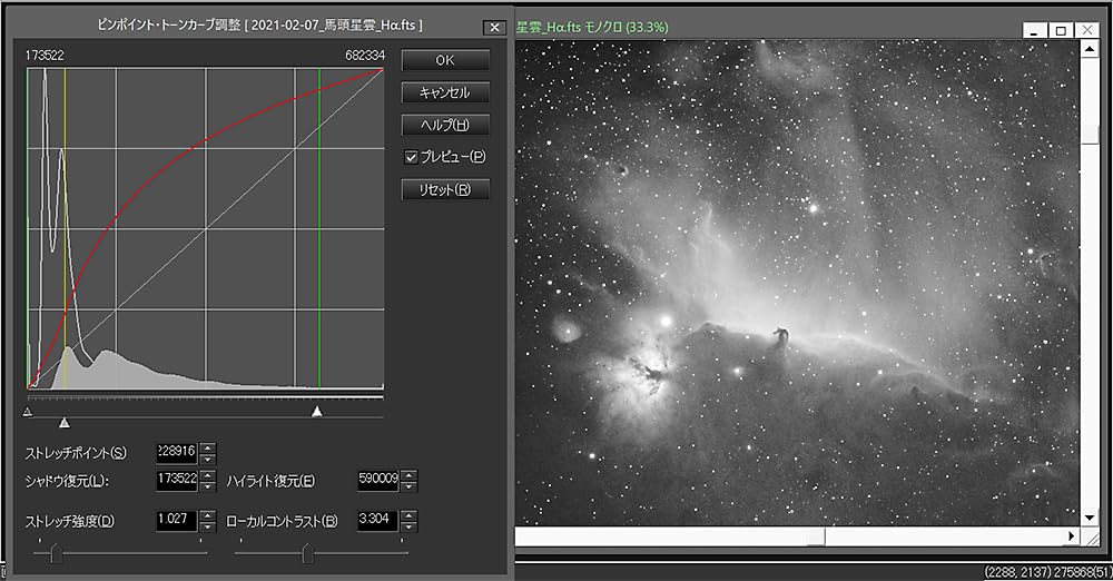 Stella image 10