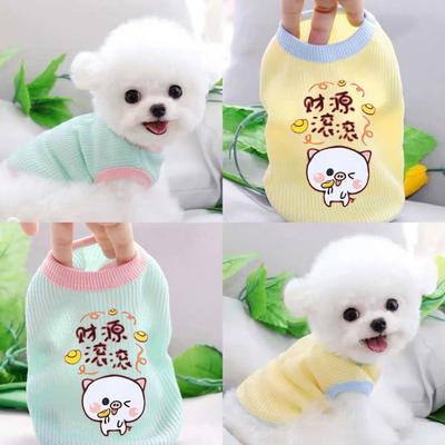 Cucciolo Cane Estate Sottile Bi Xiong Dou Celebrità di Internet Abbigliamento per Animali Domestici Gatto Autunno Corgi Teddy Pomerania Piccolo, Cane Cucciolo