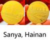 Chinese tourist attraction, Xi'an Big Wild Goose Pagoda, tourist attraction, gold-plated color printed commemorative medal, gold coin