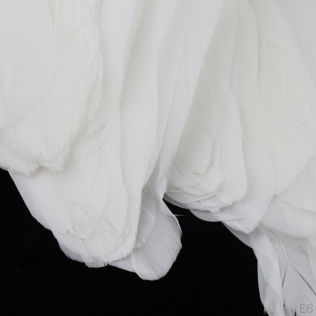 Federn 0,6 Zoll Bastelbedarf für Hochzeitsfeier Dekoration Packung mit 50 Stück