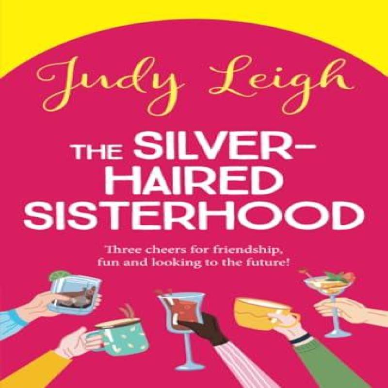 The SilverHaired Sisterhood by Judy Leigh Paperback Book 9781785132414