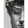 Scultura moderna Pittura su tela Graffiti Stampe artistiche Apollo Marmo David Popolo Poster Immagine di arte della parete per la decorazione della casa della Galleria