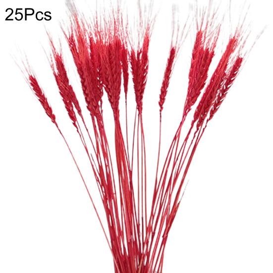 Erba Della Pampa Artificiale Rosa – 5 Steli Da 44 Cm In Tessuto Di Seta, Mini Fiori Finti Per Decorazione Boho, Matrimonio E Casa (Confezione Regalo)