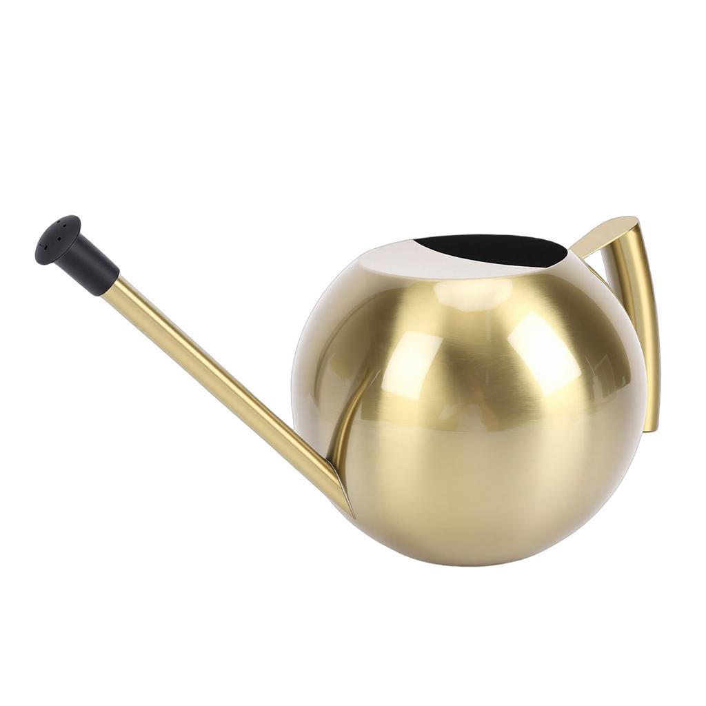 Watering Can with Long Spout 1000ml Stainless Steel Round Indoor Plant Watering Can with Detachable Head for Home