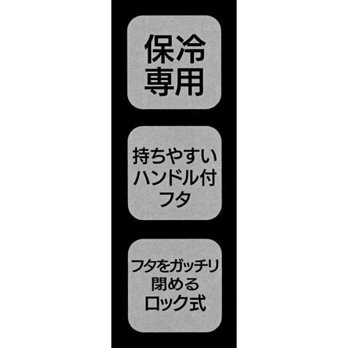 Skater Sports Bottle with Handle, Stainless Steel Water Bottle, Large Capacity, 900ml, Red, SDH9