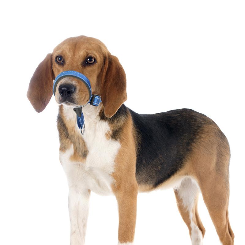 Gentle Leader Dog Head Collar No Pull Soft Padded Nylon Head Halter with Striped Pattern Stops Heavy Pulling
