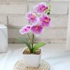 Luxurious Simulated Phalaenopsis Artificial Plant for Exclusive Boutiques