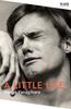 The A Little Life* By Hanya Yanagihara - Paperback Book
