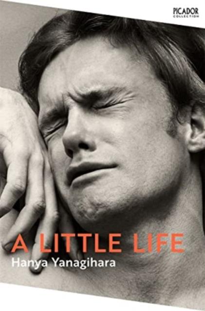 The A Little Life* By Hanya Yanagihara - Paperback Book