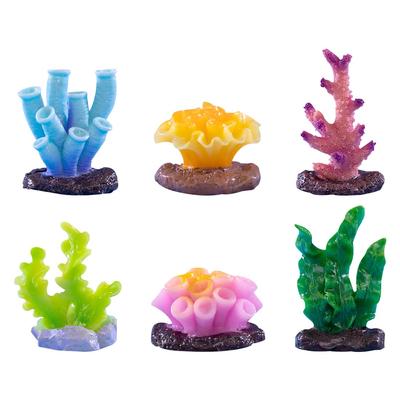 Fische & Meerestiere – Aquarien-Einrichtung