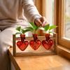 Wooden Stand Hydroponic Plant Vase Transparent Plant Propagation Station Modern Flower Pot  Office