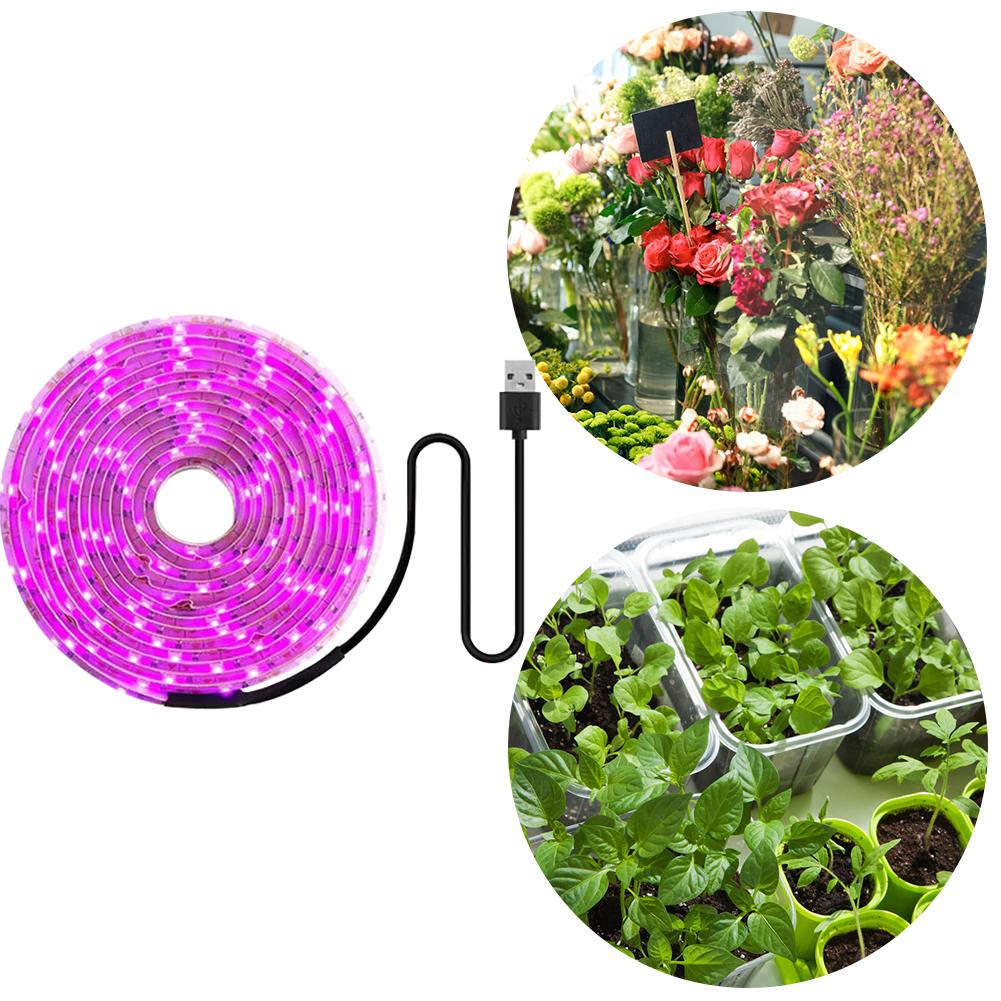 LED Grow Light Waterproof Indoor Veg Plant Growing Lamp Plant Grow LED Light for Plants Flowers Greenhouse Hydroponic 1M 2M 2M 5M