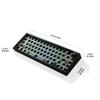 LMK66 Mechanical Keyboard Kit Convenient Switches Replacement 3Modes BT5/2.4Ghz/UsbC Hot swappable Backlights