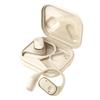 Earbuds Voice Translation Device RealTime 139 Languages Online Offline Wireless BT TwoWay