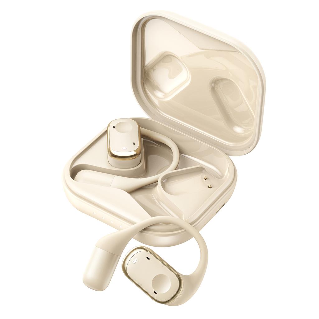 Earbuds Voice Translation Device RealTime 139 Languages Online Offline Wireless BT TwoWay