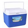 Portable Car & Outdoor Cooler/Warmer Box