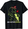 Big Sistersaurus Sister Dinosaur Baby Mother_s Day Tee Gift Unisex T-Shirt
