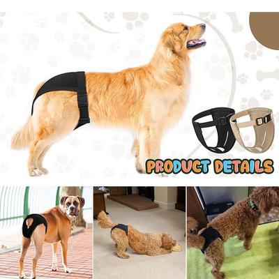 Perros – Suministros de salud