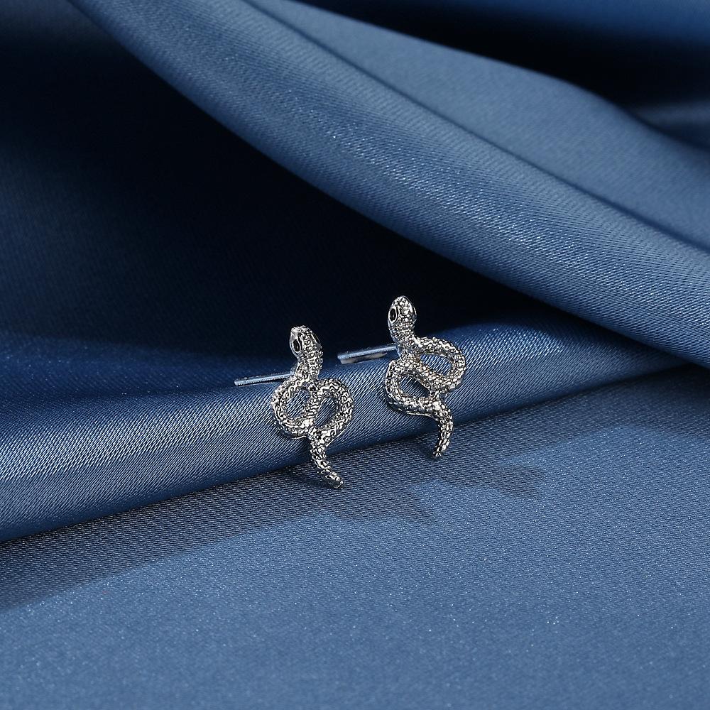 Earrings, Personalized Stainless Steel Earrings, Exaggerated Fashion Zodiac Snake Stud Earrings