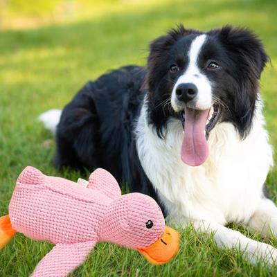 Juguete para Morder Dientes de Mascota Pato de Peluche Multiusos Juguete Sonajero Interactivo Juguete para Masticar Salud Dental Juguete para Perro