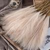 10 Units/Lot 55Cm Cute Decoration Fake Flower Reed Plant Simulated Artificial Pampas Christmas Wedding Party Fluffy Reed Grass