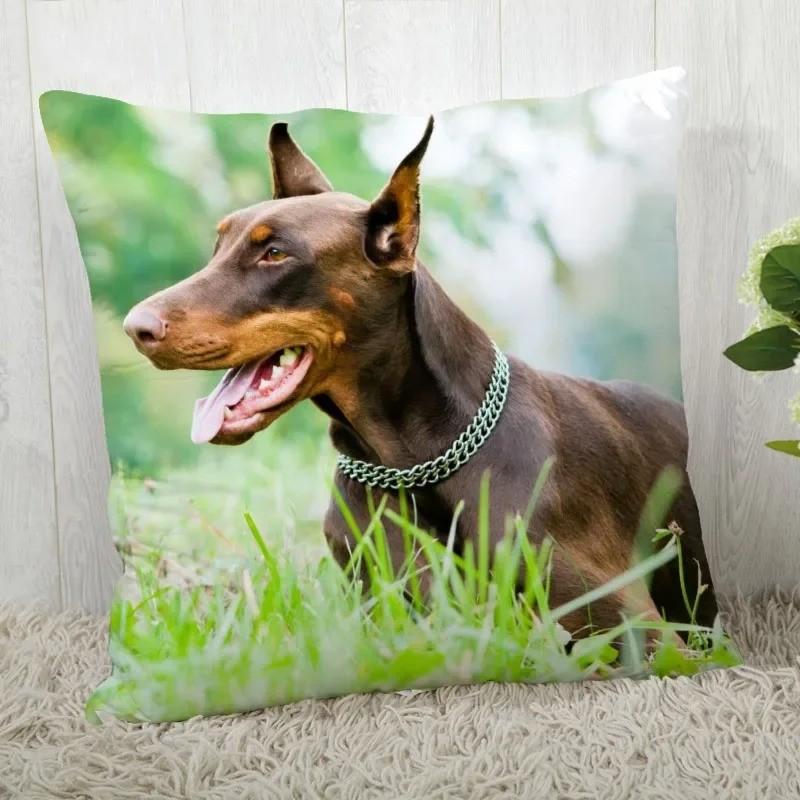 Dobermann Foto's Gedrukte Kussensloop Patroon Kussenhoes Geschikt Voor Bank Slaapkamer Auto Kussensloop