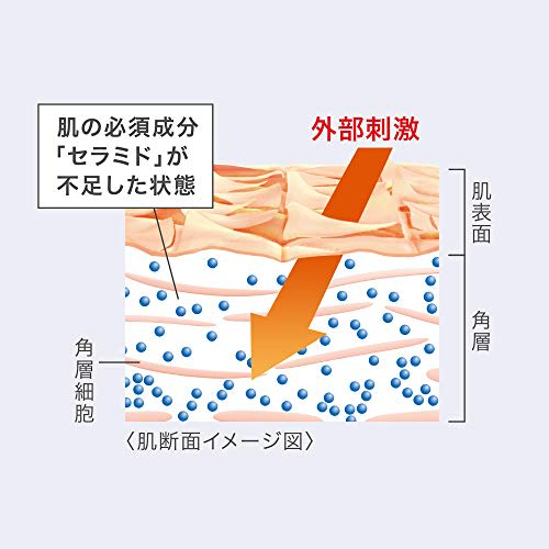 Curel Tiefenfeuchtigkeitsspray eine unparfümierte Lotion 250g x 1