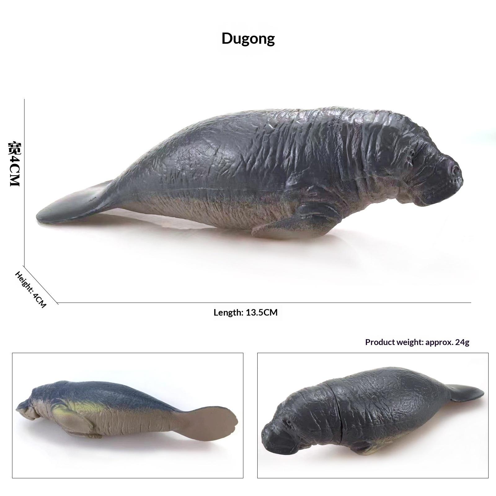 

Realistic Plastic Sea Life Toy Models Set Marine Animals - Whale Shark Dolphin Turtle - Educational Kids Christmas Gifts