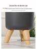 Nordic Style Self-Watering Faux Ceramic Plant Pot for Hydroponic Pothos