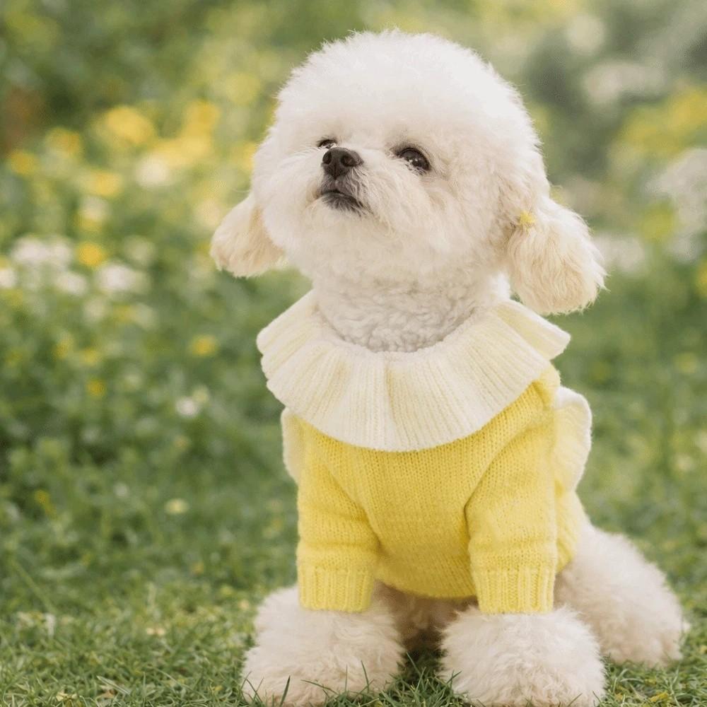 Soft Puppy Pullover Warm Dog Lapel Dress Pet Supplies Two Legs Dog Clothes  Spring Autumn
